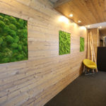 Acondicionamiento acústico con musgo